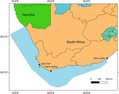 Exploring Temporal Variability in the Southern Benguela Ecosystem Over the Past Four Decades Using a Time-Dynamic Ecosystem Model